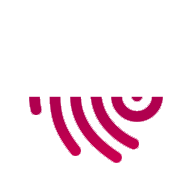 Auth Icon