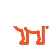 Releases Icon